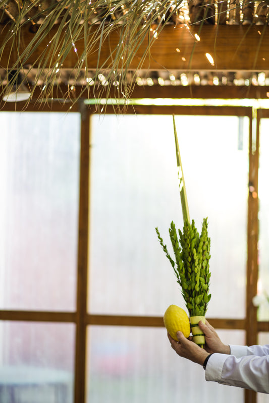 The Deri Set (With Etrog)