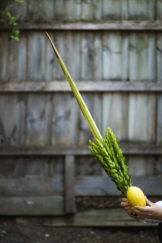 The Original Set (Calabria)