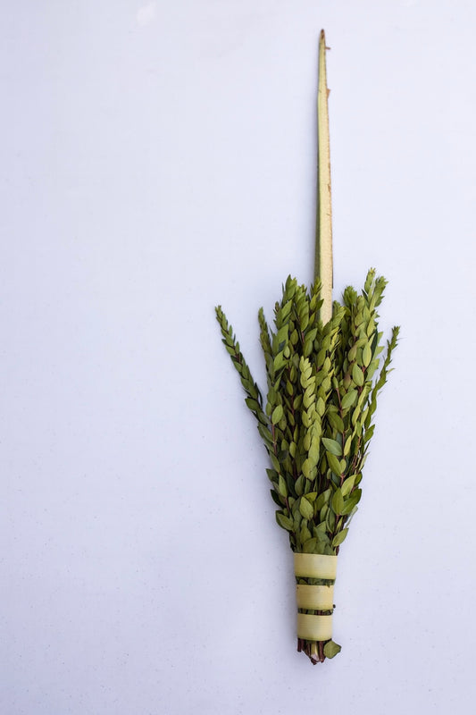 The Deri Lulav